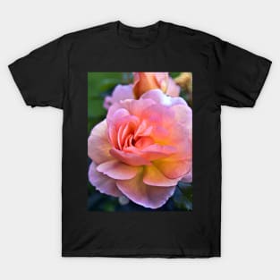 A ROSE is a ROSE T-Shirt